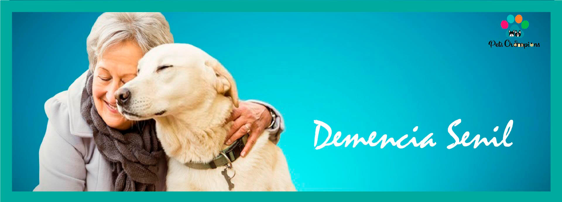Demencia Senil en Perros: Intervención Dietética y Comportamiento