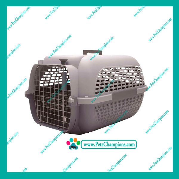 DOG IT - VOYAGEUR 100 GRIS - Imagen 2