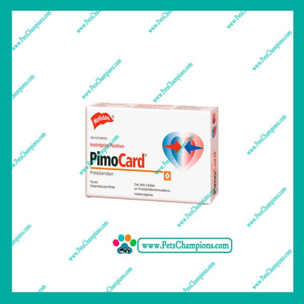 HOLLIDAY - PIMOCARD