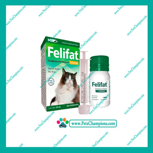 FELIFAT