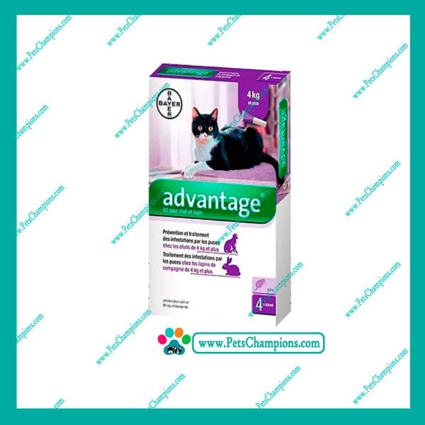 BAYER - Advantage Pipeta Antipulgas Gatos de 4kg a 8kg