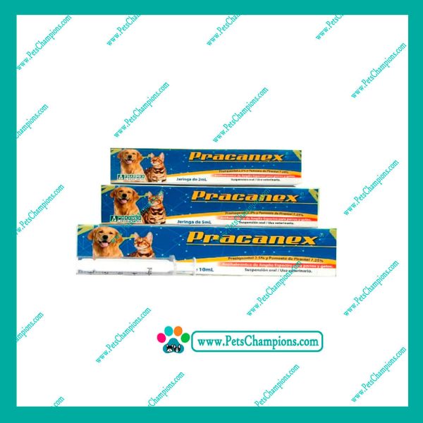 PRACANEX Antiparasitario Gel