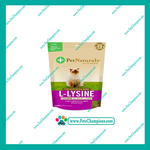 L-LYSINE