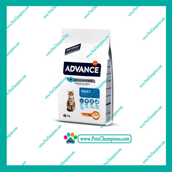 ADVANCE FELINOS - Gato Adulto