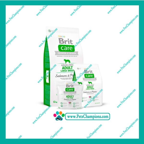 BRIT CARE - ADULTO RAZAS GRANDES SALMÒN&POTATO