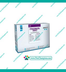 Zoovet – Itraconazol Comprimidos (Blister)