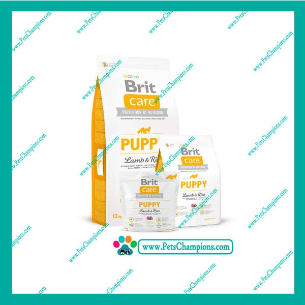 BRIT CARE - CACHORRO CORDERO&ARROZ