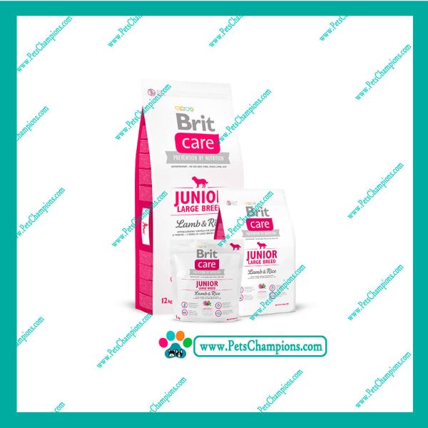 BRIT CARE - JUNIOR RAZAS GRANDES CORDERO&ARROZ