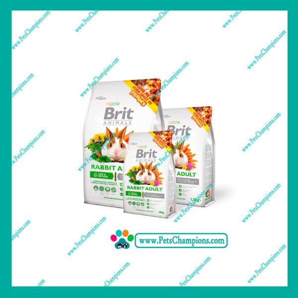 BRIT ANIMALS ALFALFA SNACK FOR RODENTS 100gr