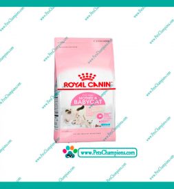 ROYAL CANIN  PROFESSIONAL MOTHER&BABY CAT 10Kg