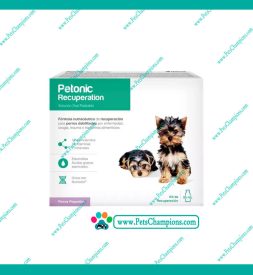 Agrovet Market Petonic Recuperation – Frasco 55ml