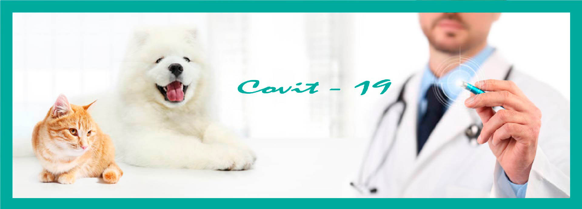 Perros y Gatos Durante y Tras las Medidas Pro COVID-19