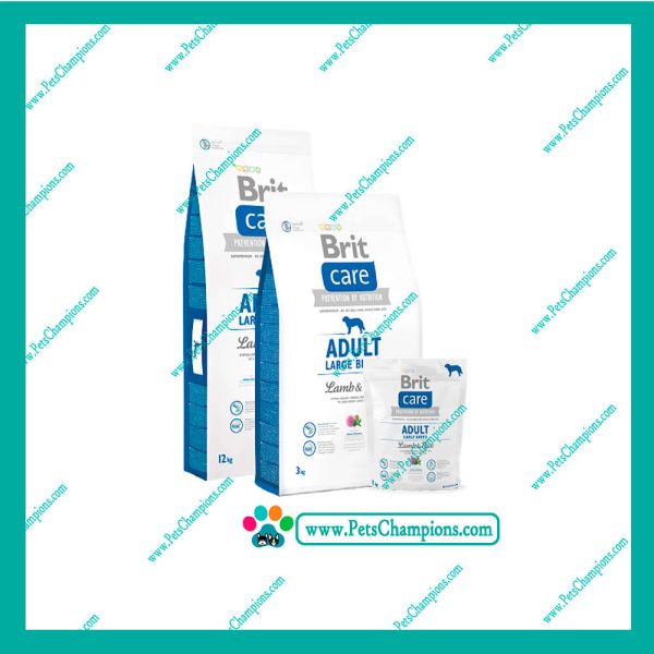 BRIT CARE - ADULTO RAZAS GRANDES CORDERO&ARROZ