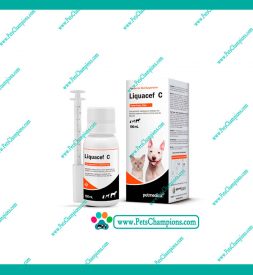 Agrovet Market Liquacef C – Frasco 100ml