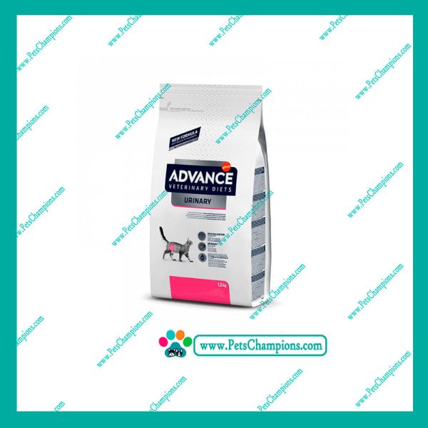 ADVANCE MEDICADO FELINOS - Adulto Urinary