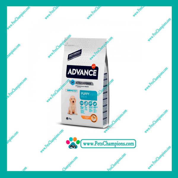 ADVANCE - Cachorro Maxi