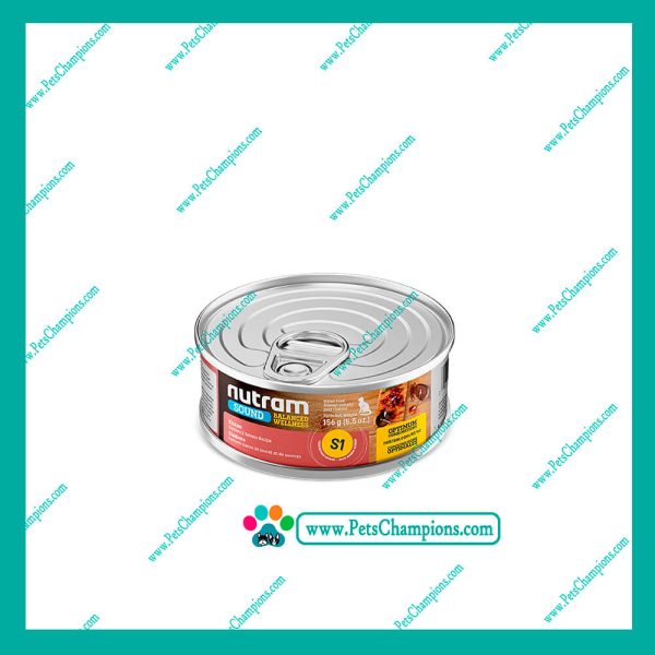 NUTRAM S1 KITTEN 156GR