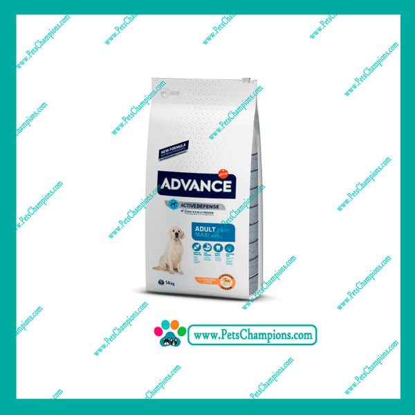 ADVANCE - Adult Maxi 14Kg