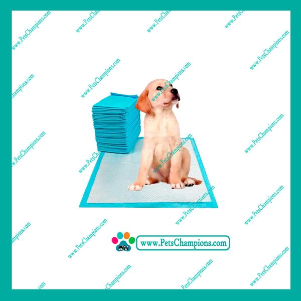 GOOD BOY- Alfombras de Piso 12 unidades - Imagen 2