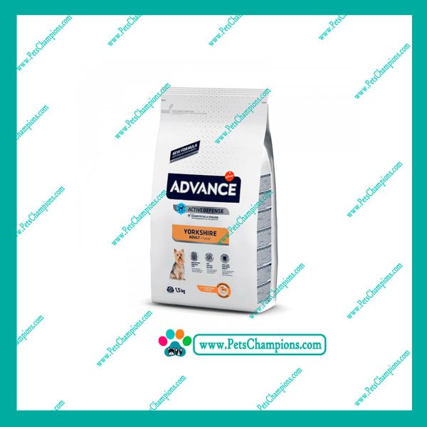 ADVANCE - Raza Yorkshire Adulto 1.5Kg