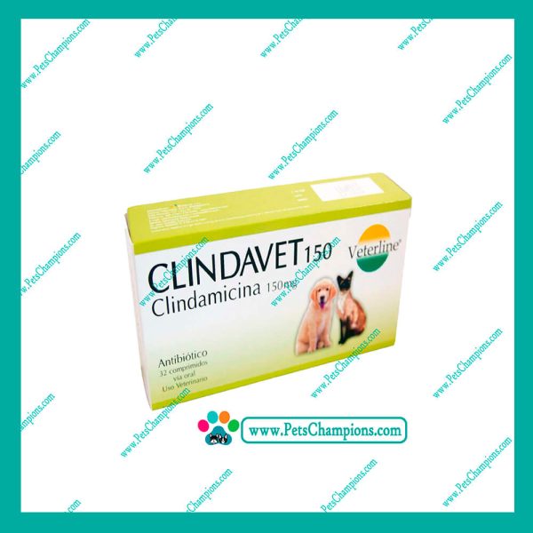 VETERLINE - CLINDAVET