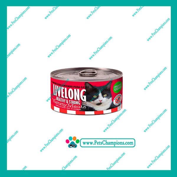 LIVELONG - Carne Patè 156gr