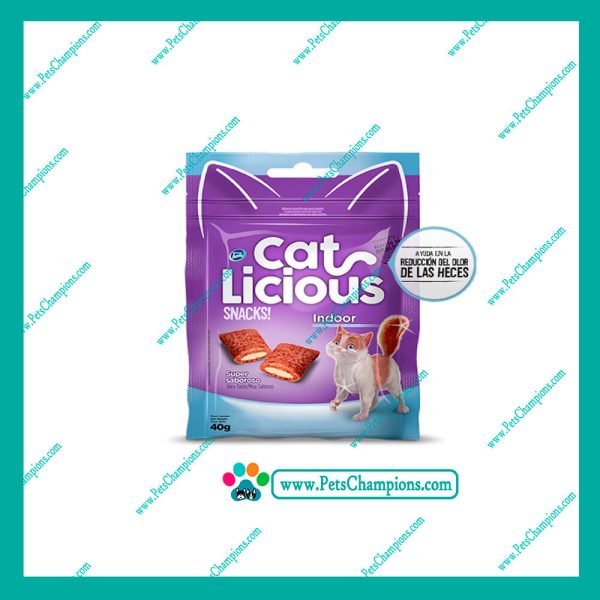 CAT LICIOUS INDOOR