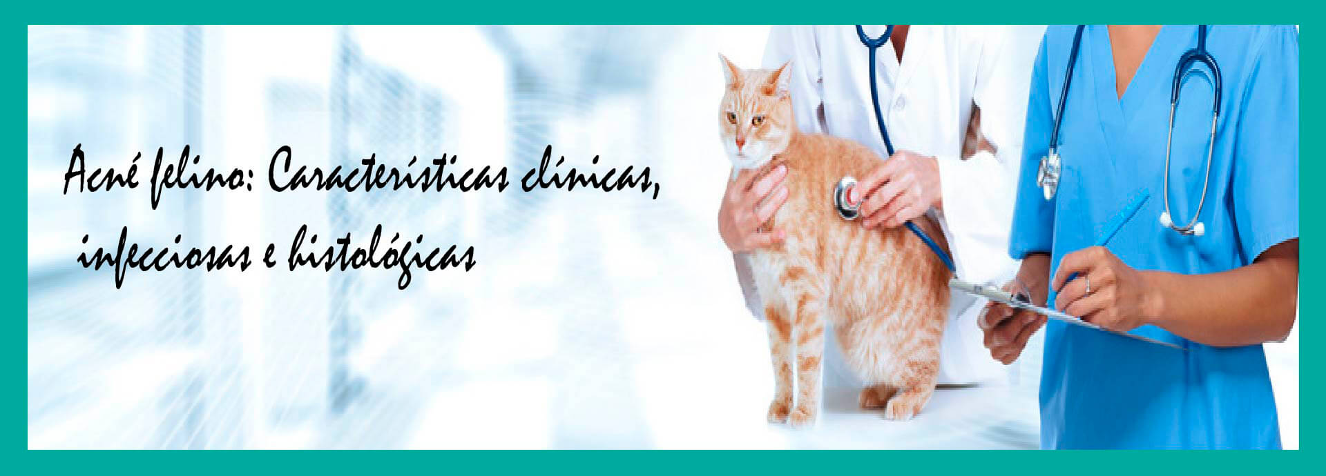 Acné felino: Características Clínicas, Infecciosas e Histológicas