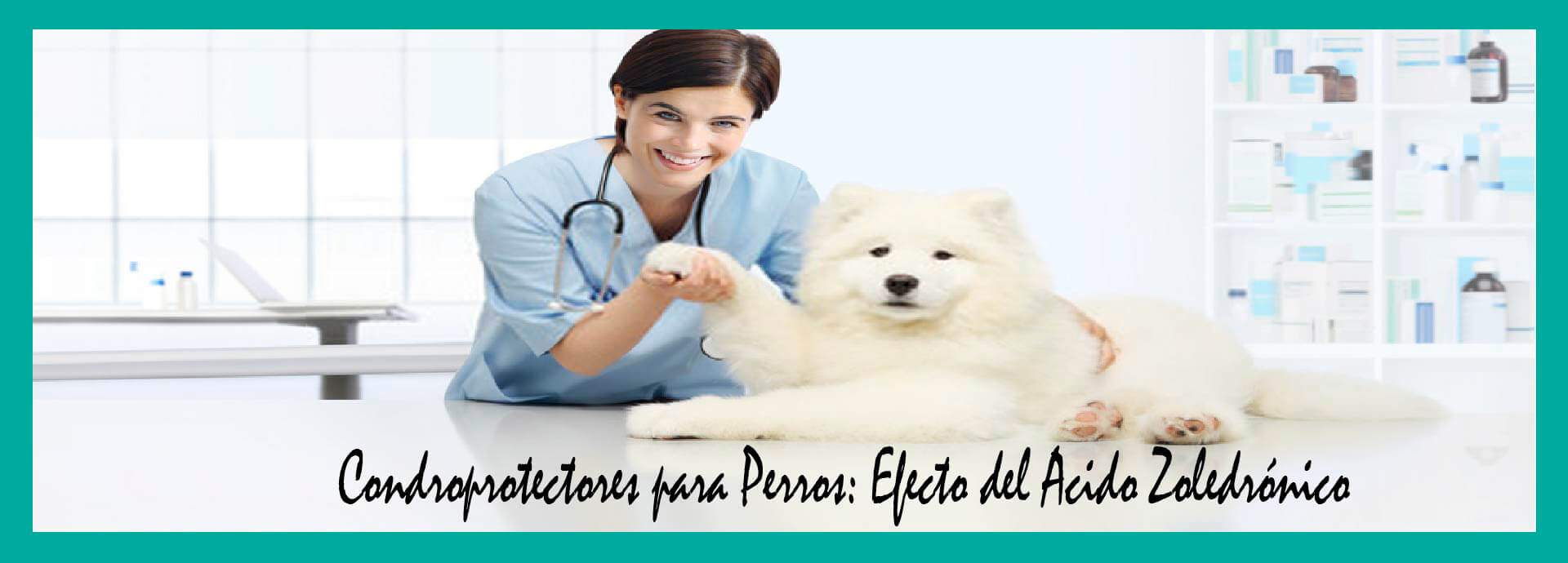 Condroprotectores para Perros: Efecto del Acido Zoledrónico