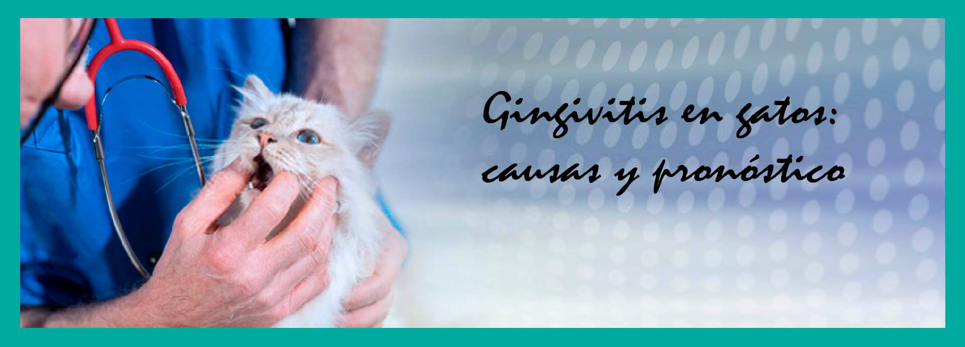 Gingivitis en Gatos: Causas y Pronóstico