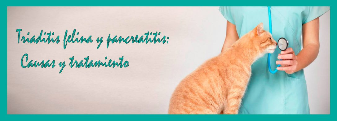 Triaditis Felina y Pancreatitis: Causas y Tratamiento