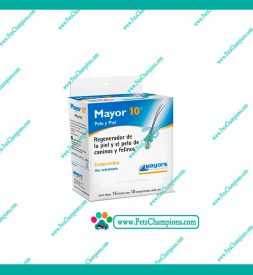 Mayors – Mayor 10