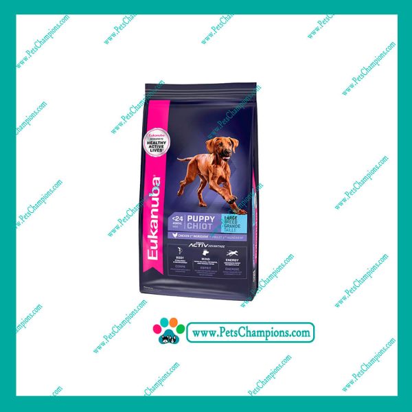 Eukanuba - Puppy Large Breed
