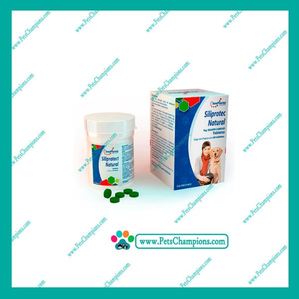 Innopharma - Siliprotect Natural Silimarina 60 Tabletas