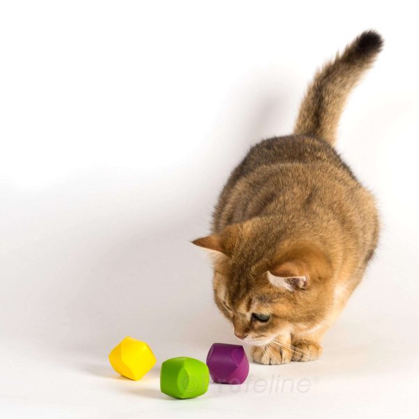 Jakson Galaxy - Cat Dice ( Dados para Gatos) - Imagen 3