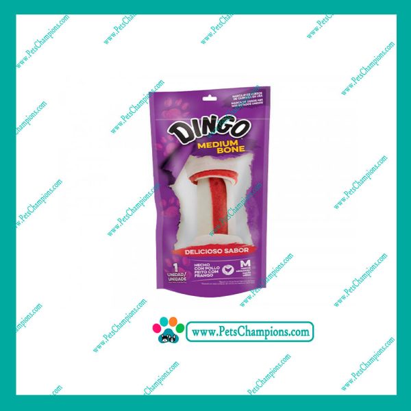 Dingo - Medium Bone