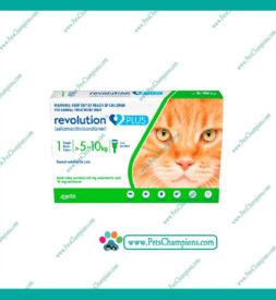 ZOETIS –  Pipetas Revolution Plus Cat 5 a 10kg  (1 Unidad)