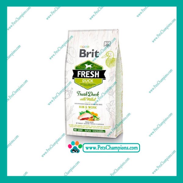 Brit Fresh Duck With Millet Active Run & Work