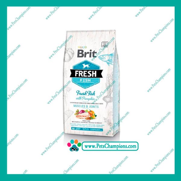 Brit Fresh Fish With Pumpkin Adult Large