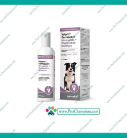 Vetpro Dermacare Miconazole+Clorhexidine Shampoo – AgrovetMarket