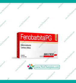 Brouwer – Fenobarbital PG