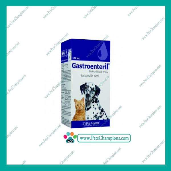 DRAGPHARMA - Gastroenteril