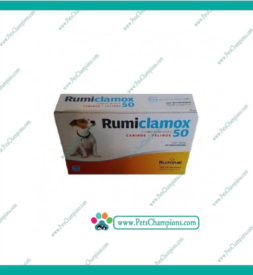 Ruminal – Rumiclamox