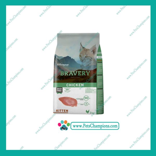 Bravery kitten pollo