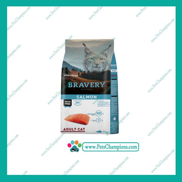 bravery salmon gato adulto.