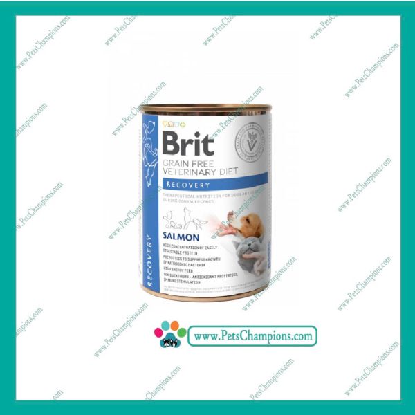 Brit Dog/Cat Recovery lata 400 gr lata x 400 g