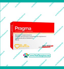 Brouwer Pragma 10mg