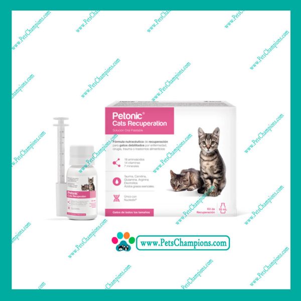 Agrovet Market Petonic Cats Recuperation - Frasco 55ml