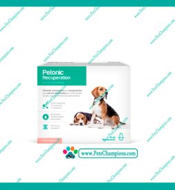 Agrovet Market Petonic Recuperation – Frasco 110ml