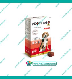 Biomont Proteggo 3M Medium 10 a 20kg (500mg) – Protege 3 meses